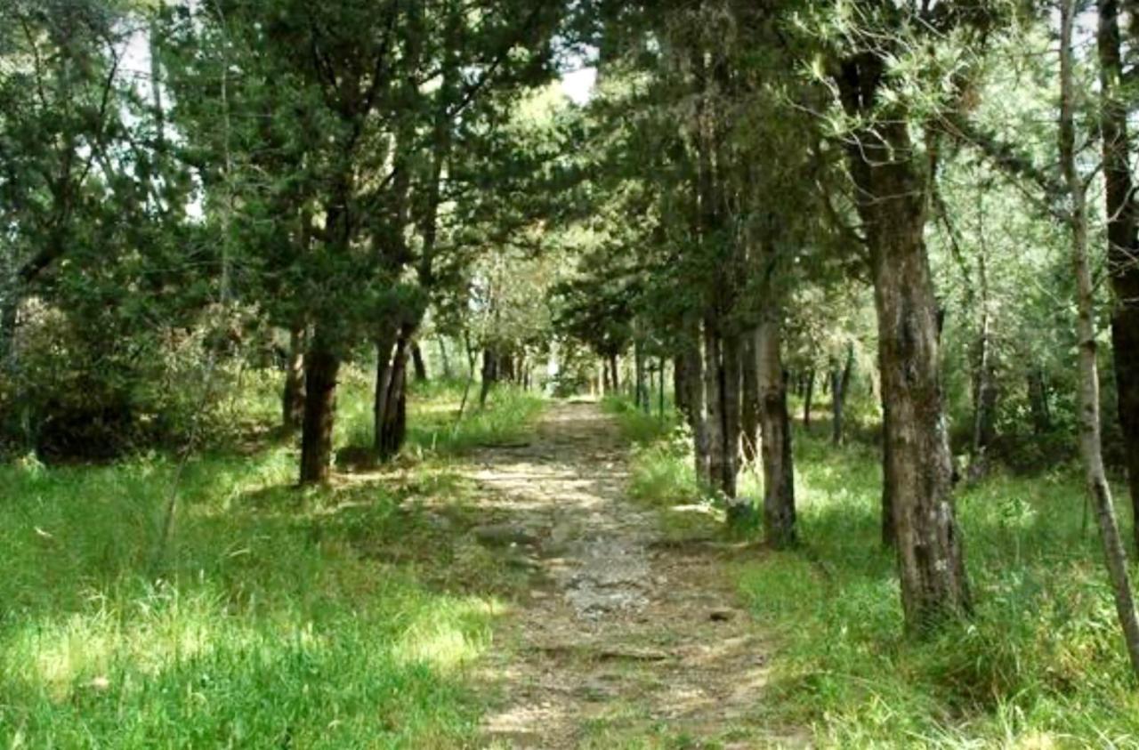 Oikiastudios2 Patras Luaran gambar